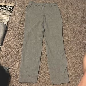 Express columnist ankle pant 0